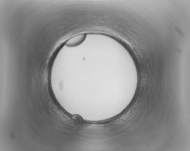 X0000116151506200912211458