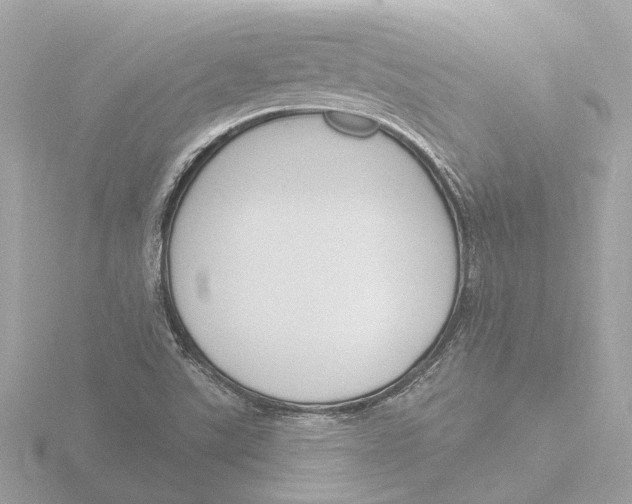 X0000116151507200912211458