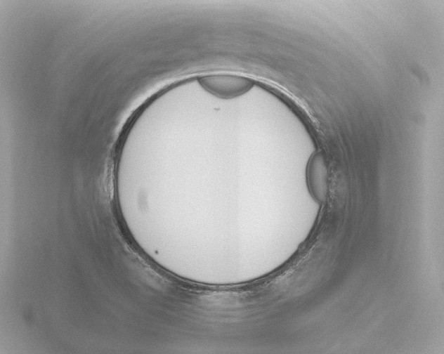 X0000116151510200912211459