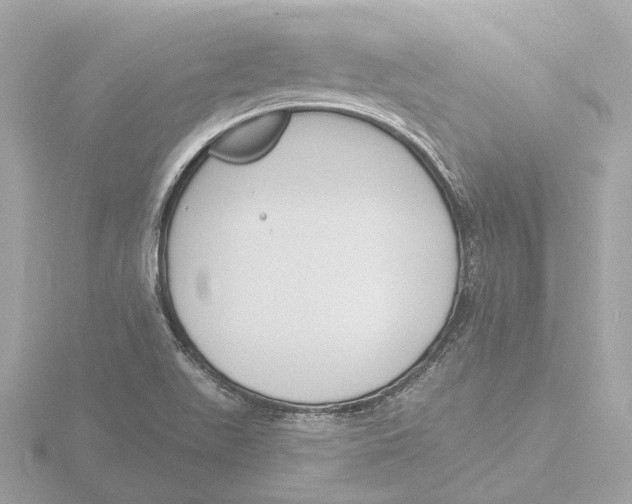 X0000116151511200912211459