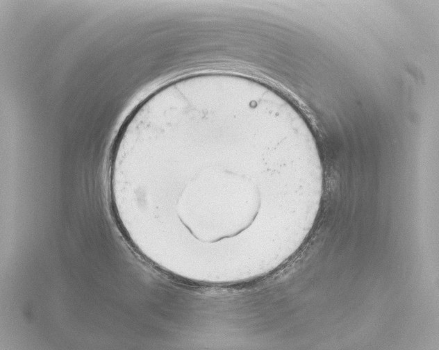 X0000116151514200912211459