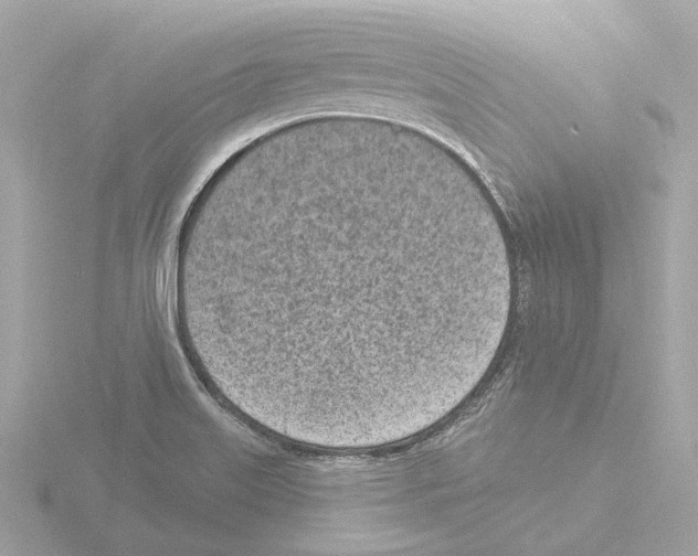 X0000116151515200912211459