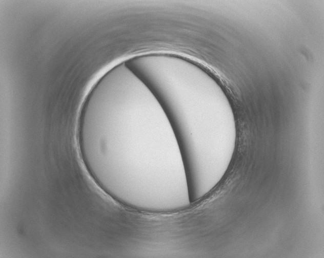 X0000116151518200912211459