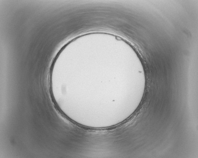 X0000116151519200912211459