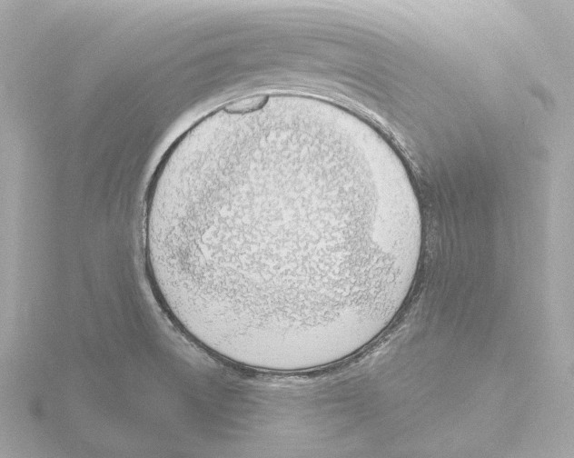 X0000116151522200912211459