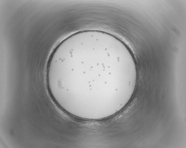 X0000116151525200912211459