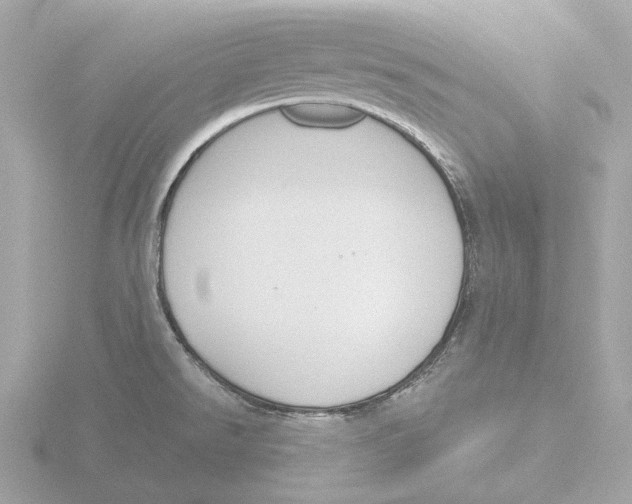 X0000116151526200912211459