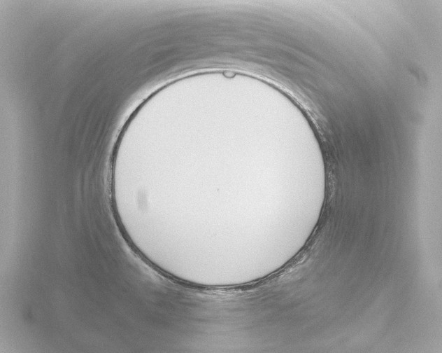 X0000116151527200912211459