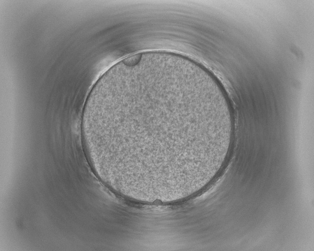 X0000116151529200912211459