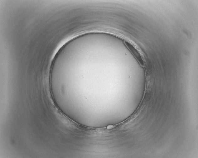 X0000116151530200912211459