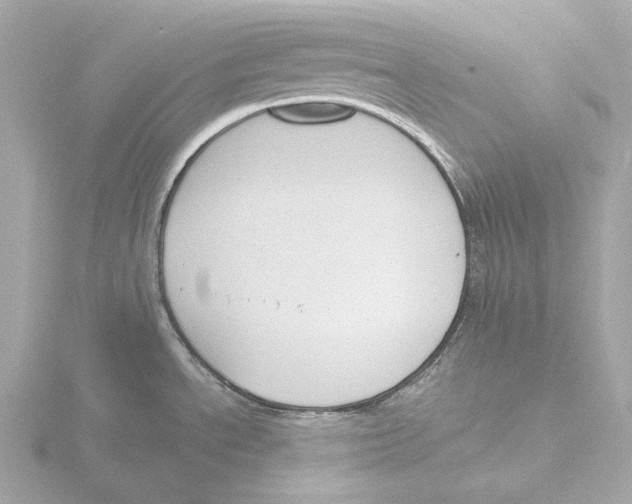 X0000116151534200912211459