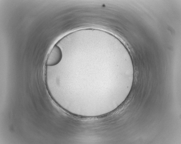 X0000116151535200912211459