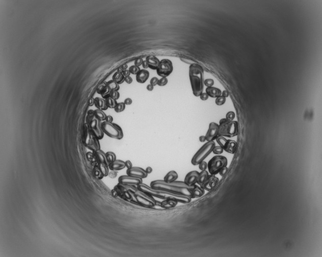 X0000116150001201001041103