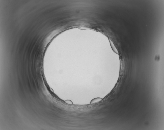 X0000116150003201001041103