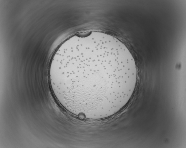 X0000116150004201001041103