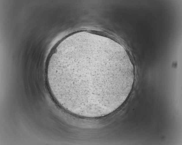 X0000116150008201001041103