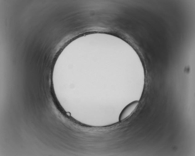 X0000116150011201001041103