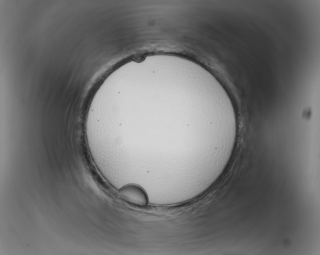 X0000116150012201001041103