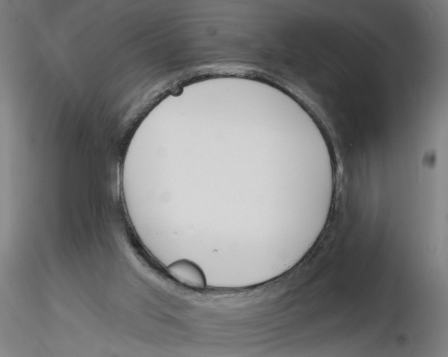 X0000116150013201001041103