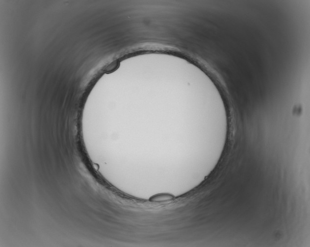 X0000116150015201001041103