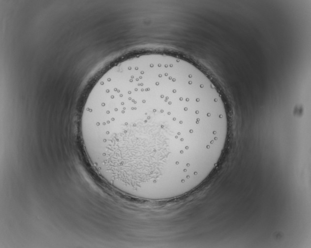 X0000116150016201001041103