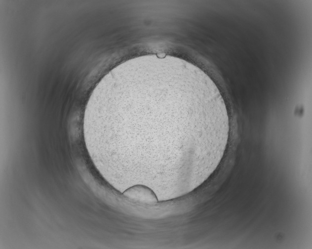 X0000116150018201001041103