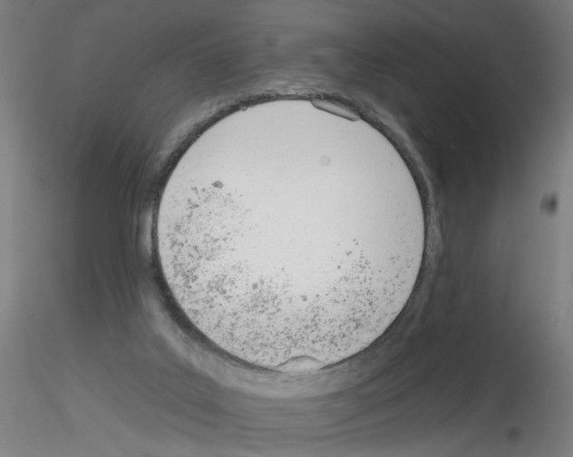 X0000116150019201001041103