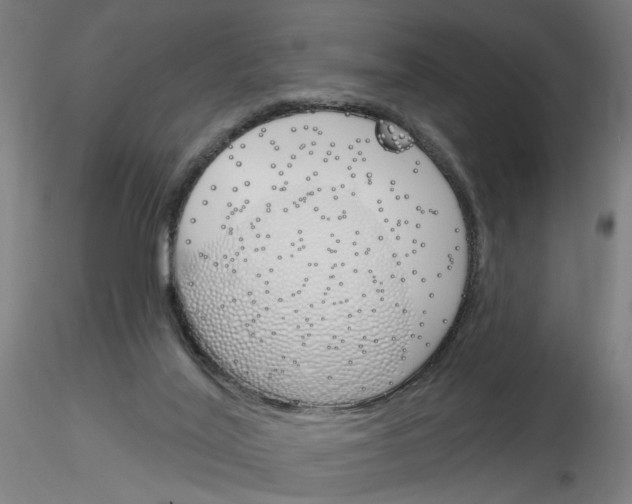 X0000116150020201001041103