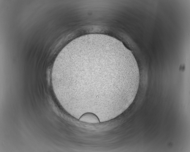 X0000116150022201001041103