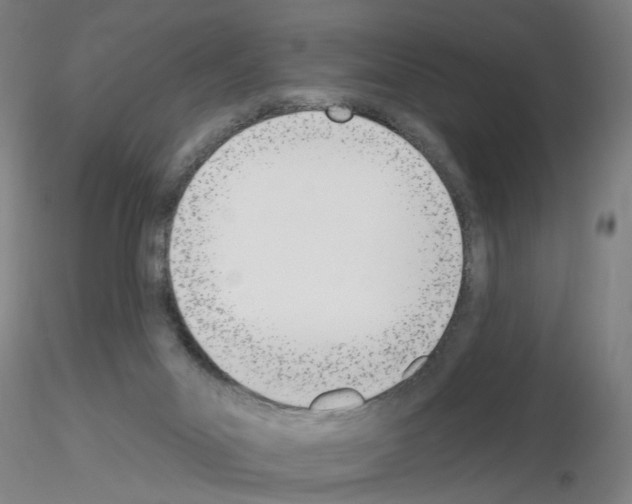 X0000116150023201001041103