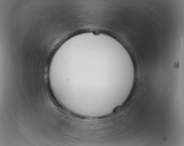 X0000116150024201001041103