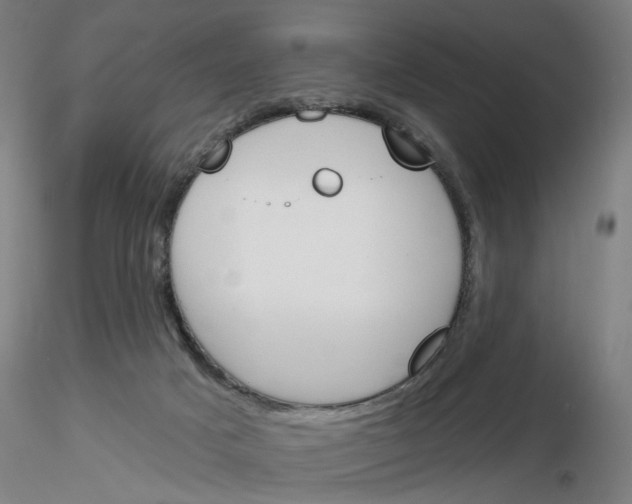 X0000116150025201001041103