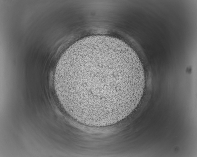 X0000116150026201001041103