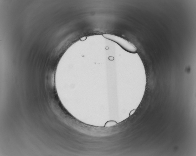 X0000116150027201001041103