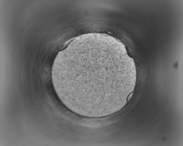 X0000116150029201001041103