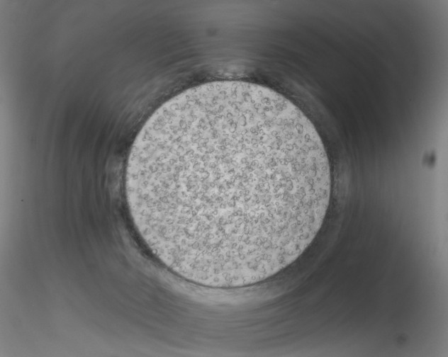 X0000116150030201001041103