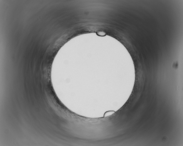 X0000116150031201001041102