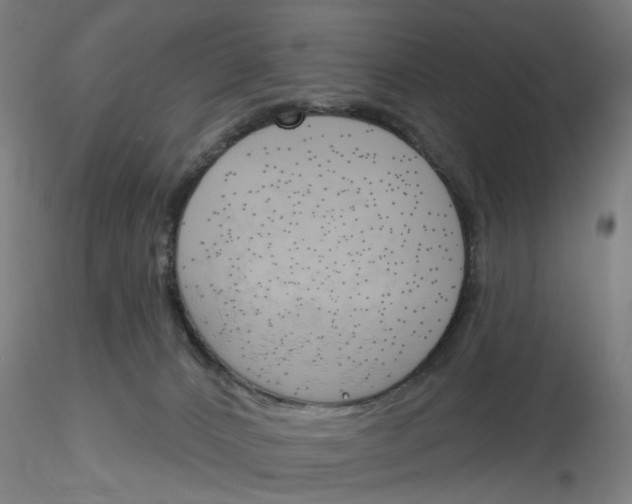 X0000116150032201001041102