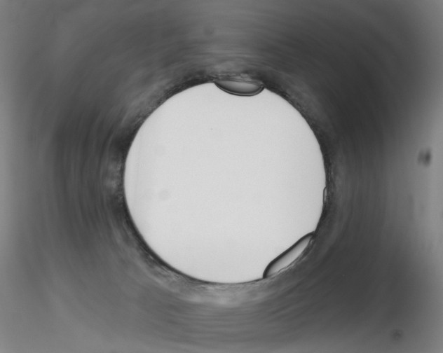 X0000116150033201001041102