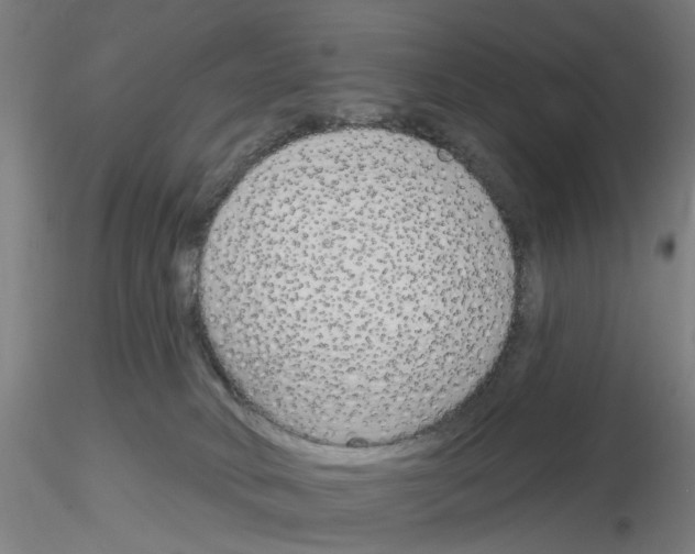 X0000116150034201001041102