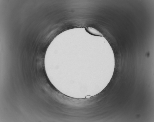 X0000116150035201001041102