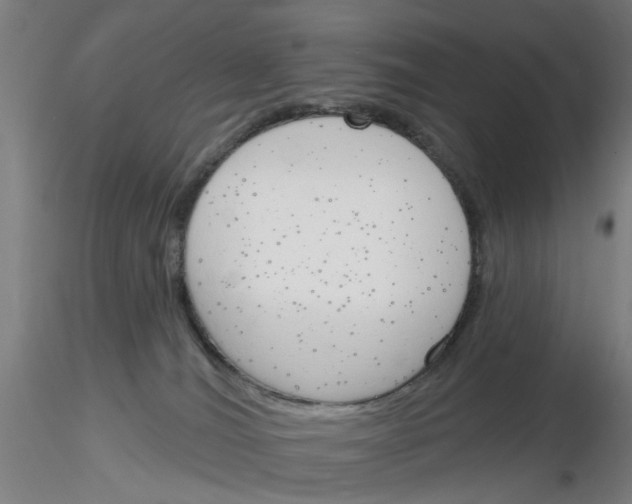 X0000116150036201001041102