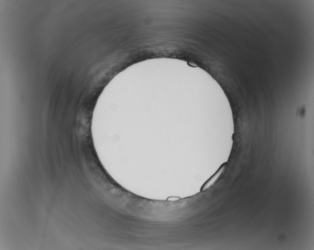 X0000116150037201001041102