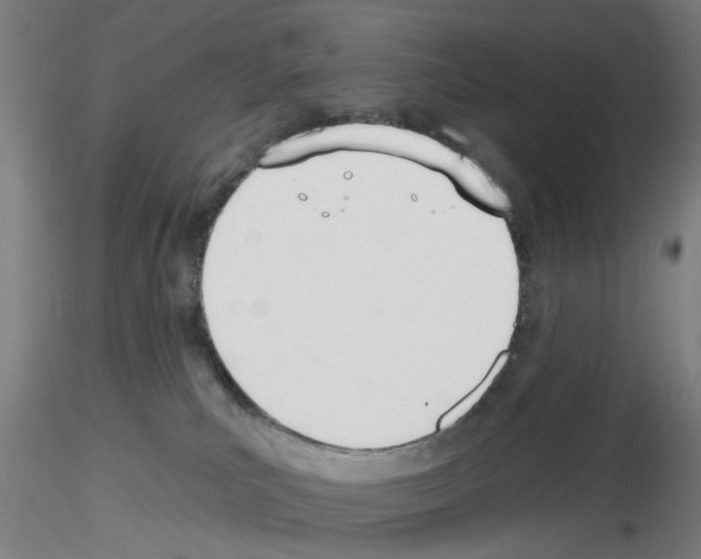 X0000116150039201001041102