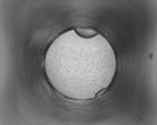 X0000116150040201001041102