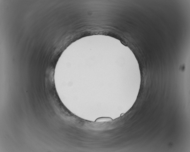 X0000116150041201001041102