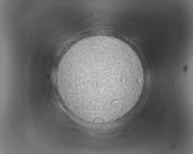 X0000116150042201001041102