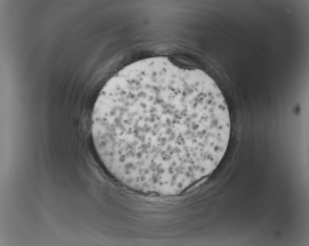 X0000116150044201001041102