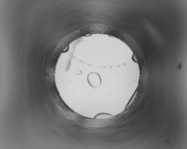 X0000116150045201001041102