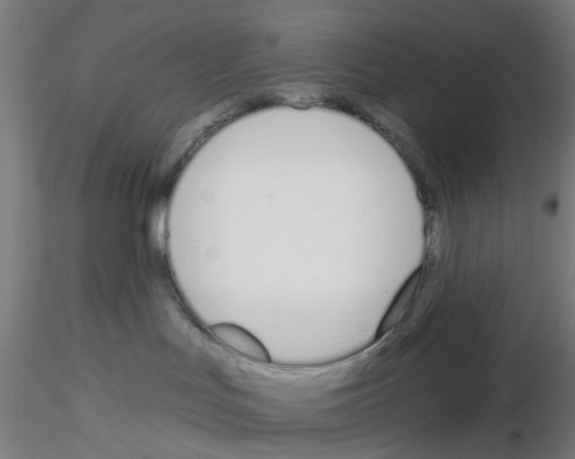 X0000116150047201001041102